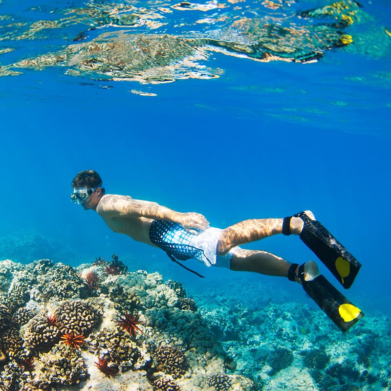 Accessori per snorkeling
